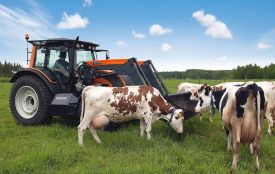 Малі фермерські господарства — важливий ресурс розвитку громад Житомирщини