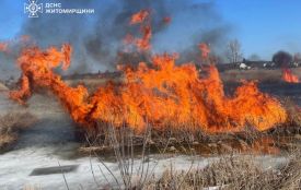У Звягельському районі під час самостійного гасіння сухотрав`я травмувався чоловік