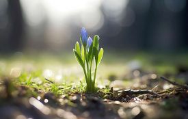 16 березня: все про цей день, яке церковне свято, іменини і погода у Житомирі