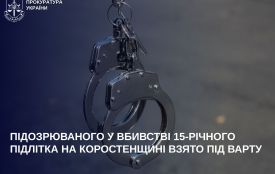 Підозрюваного у вбивстві 15-річного підлітка на Коростенщині взято під варту