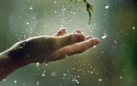 В Україні дещо похолодає, пройдуть дощі