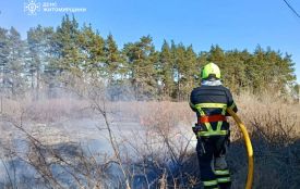 За вихідні на Житомирщині під час пожеж сухої рослинності травмувалися двоє людей