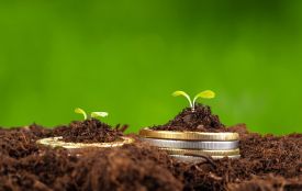 Прокурори в судовому порядку оскаржили бездіяльність органів місцевого самоврядування щодо проведення нормативної грошової оцінки земель 86 населених пунктів