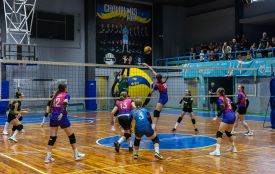 150 університетів і 600 команд: перші студентські ліги «Пліч-о-пліч» об’єднали всю Україну