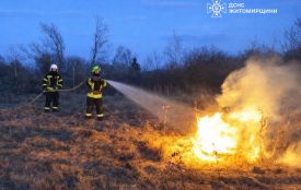 Упродовж минулої доби рятувальники області 15 разів гасили пожежі в природних екосистемах