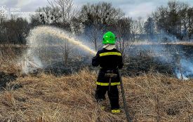 На Житомирщині рятувальники продовжують боротися з пожежами в екосистемах