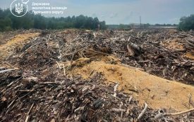 Державі має бути відшкодовано понад 1,5 млн грн збитків за засмічення лісу на території Овруцької громади