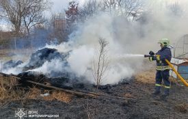 Рятувальники Житомирщини продовжують приборкувати пожежі в екосистемах