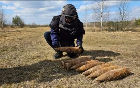 У Житомирському районі сапери ДСНС знищили дев’ять боєприпасів часів Другої світової війни