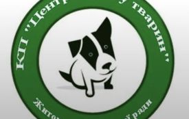 КП "Центр захисту тварин" у Житомирі продовжує свою роботу