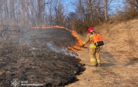 За добу вогнеборці Житомирщини ліквідували 14 пожеж в екосистемах