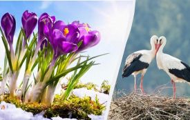 25 березня: все про цей день, яке церковне свято, традиції і погода у Житомирі