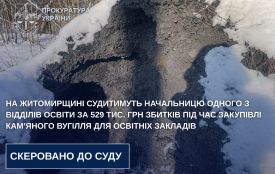 На Житомирщині судитимуть начальницю одного з відділів освіти за 529 тис. грн збитків під час закупівлі кам’яного вугілля для освітніх закладів