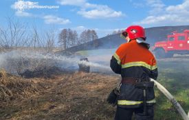 Минулої доби на Житомирщині згоріло 16 гектарів сухої трави