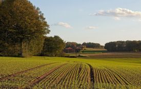 За втручання прокуратури фермерське гомподарство повернуло Вишевицькій громаді земельну ділянку площею майже 70 га