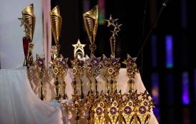 У Житомирі відбувся Міжнародний мистецький конкурс «ART FOR PEACE»