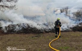За минулу добу вогнеборці Житомирщини ліквідували 20 пожеж сухої рослинності