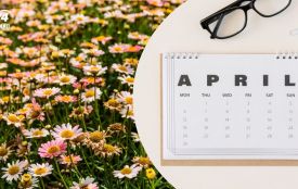 Перерахунок пенсій та допомога 1500 грн, кешбек на пальне і мобілізація: зміни квітня