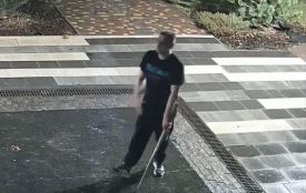 У Житомирі вчинили черговий вандалізм - соцмережі. ВІДЕО