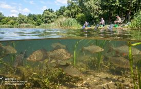 З 1 квітня стартує нерестова заборона на вилов водних біоресурсів: строки, обмеження та відповідальність