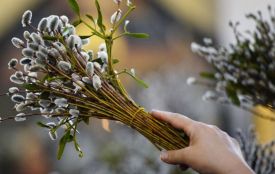 Вихідні в Україні будуть теплими, з 7 квітня прийде похолодання