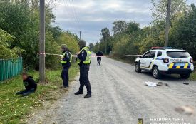 Вбивця матері та дитини в Радомишльській громаді на момент скоєння злочину перебував у стані гострого психозу, — експерти