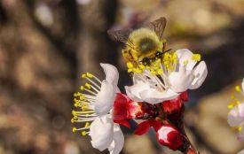 6 квітня: все про цей день, яке церковне свято. прикмети і погода у Житомирі