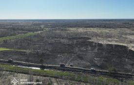 Вогнеборці показали кадри випаленої пожежами Житомирщини