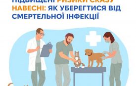 Як уберегтися від сказу після контакту з твариною