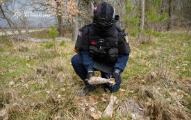 Піротехніки знешкодили 17 вибухонебезпечних предметів, виявлених місцевими жителями в Житомирському районі