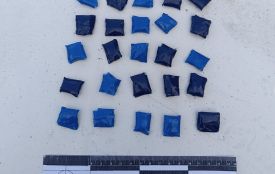У Житомирському районі поліцейські затримали наркокур’єрку після отримання посилки з "партією товару"