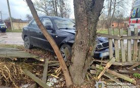 Смертельна ДТП на Коростенщині: водій з’їхав у кювет і врізався в дерево