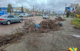 У Житомирі на прибраній території знову з'явилося стихійне звалище