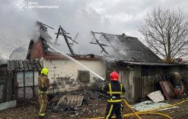 За добу вогнеборці Житомирщини 7 разів виїжджали на ліквідацію пожеж