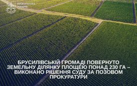 Брусилівській громаді повернуто земельну ділянку площею понад 230 га – виконано рішення суду за позовом прокуратури