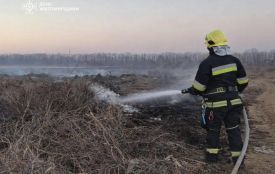 Учора рятувальники Житомирщини 3 рази залучалися до гасіння пожеж на відкритих територіях