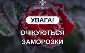 Синоптики попереджають про заморозки на Житомирщині