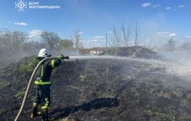 Пожежі в екосистемах набирають обертів!