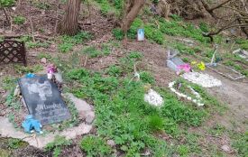 Пам’ять чи загроза: як Україна (і Житомирщина) шукає цивілізований підхід до поховання домашніх тварин