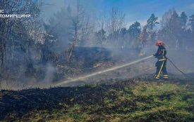 11 гектарів вигоріло внаслідок стихійних пожеж минулої доби