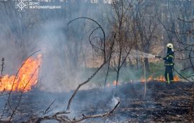 Минулої доби на Житомирщині зафіксовано 9 пожеж, у 5-х з них горіла суха трава