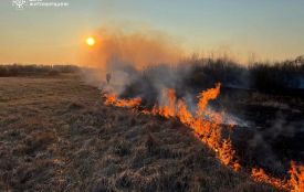 Знову пожежі на відкритих територіях: за добу вигоріло понад 7 га
