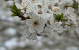 19 квітня: яке сьогодні свято, прикмети і заборони, прогноз погоди