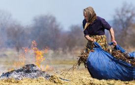 Спалювання трави: прихована загроза для здоров’я і довкілля