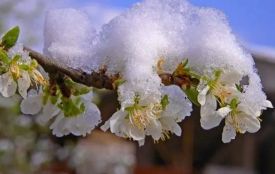 Погода у Житомирі: вночі та вранці сильні заморозки у повітрі 0-2°, вдень до 10 градусів тепла