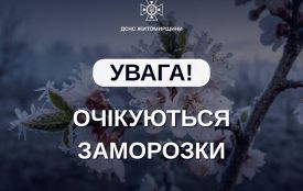 Увага: на Житомирщині очікуються заморозки!