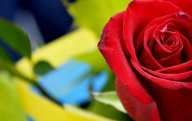 Лише через 20 місяців на щиті повернувся до Житомирі Герой Микола Поляновський