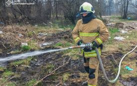 У Лугинах горіла суха трава: опіки і отруєння димом отримав місцевий житель