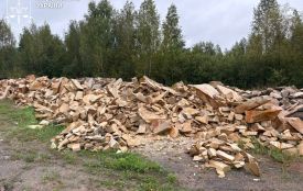 Групу осіб судитимуть за незаконний видобуток піщанику на Житомирщині – збитки довкіллю становлять понад 16 млн грн