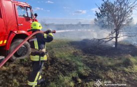 У Червоному вигоріло 2,5 га сухої рослинності